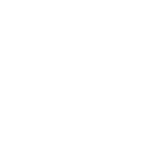 Volunteer Holster Company